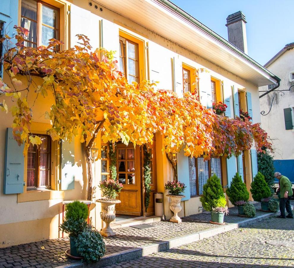 Apartamento Le Cinquante Quatre Perroy Exterior foto